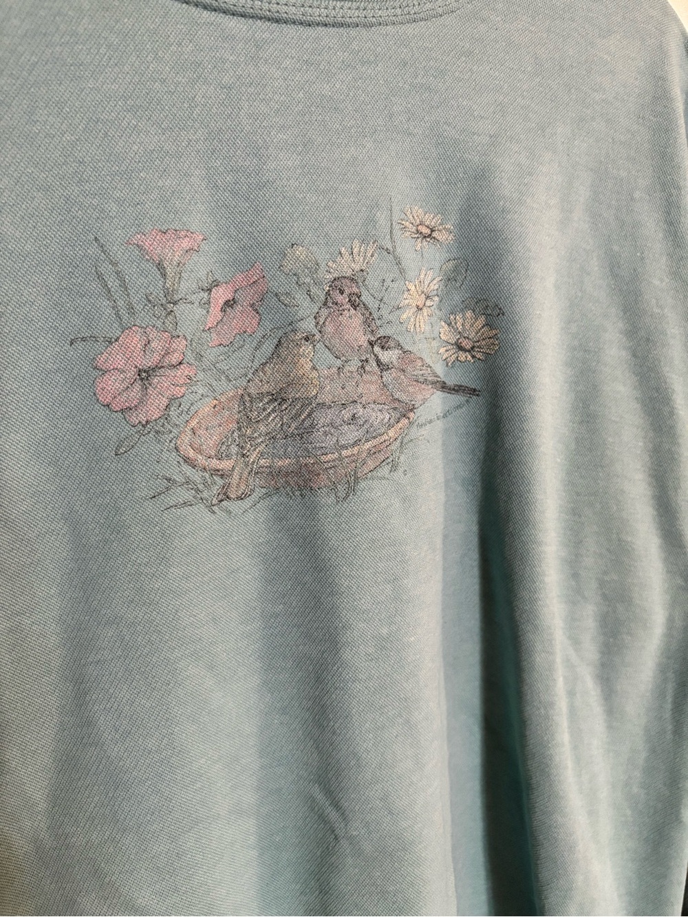 Vintage Northern Reflections Teal Graphic Wildlife Birds Cottagecore Sweatshirt